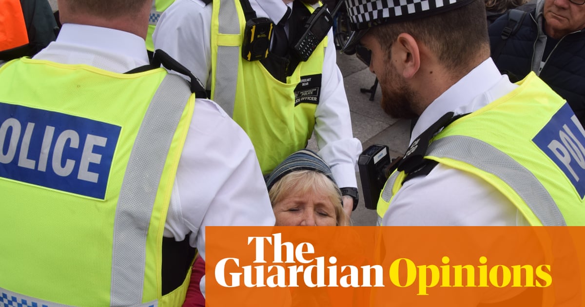 The Guardian view on Palestine Action: banning the group was a step too far | Editorial